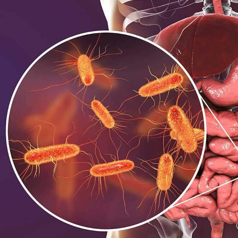 Antiparasitarios